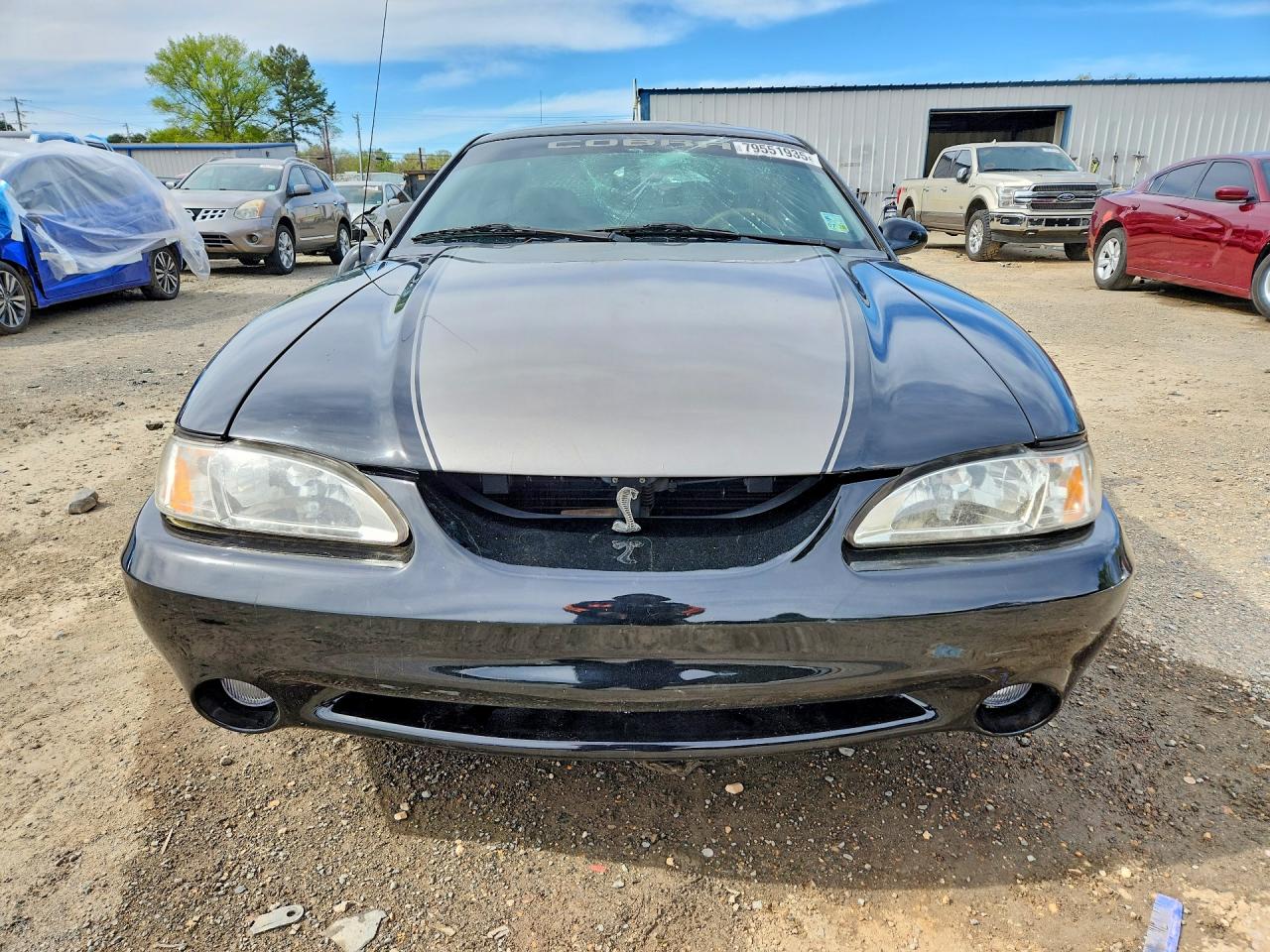 1995 FORD MUSTANG GT photo 5