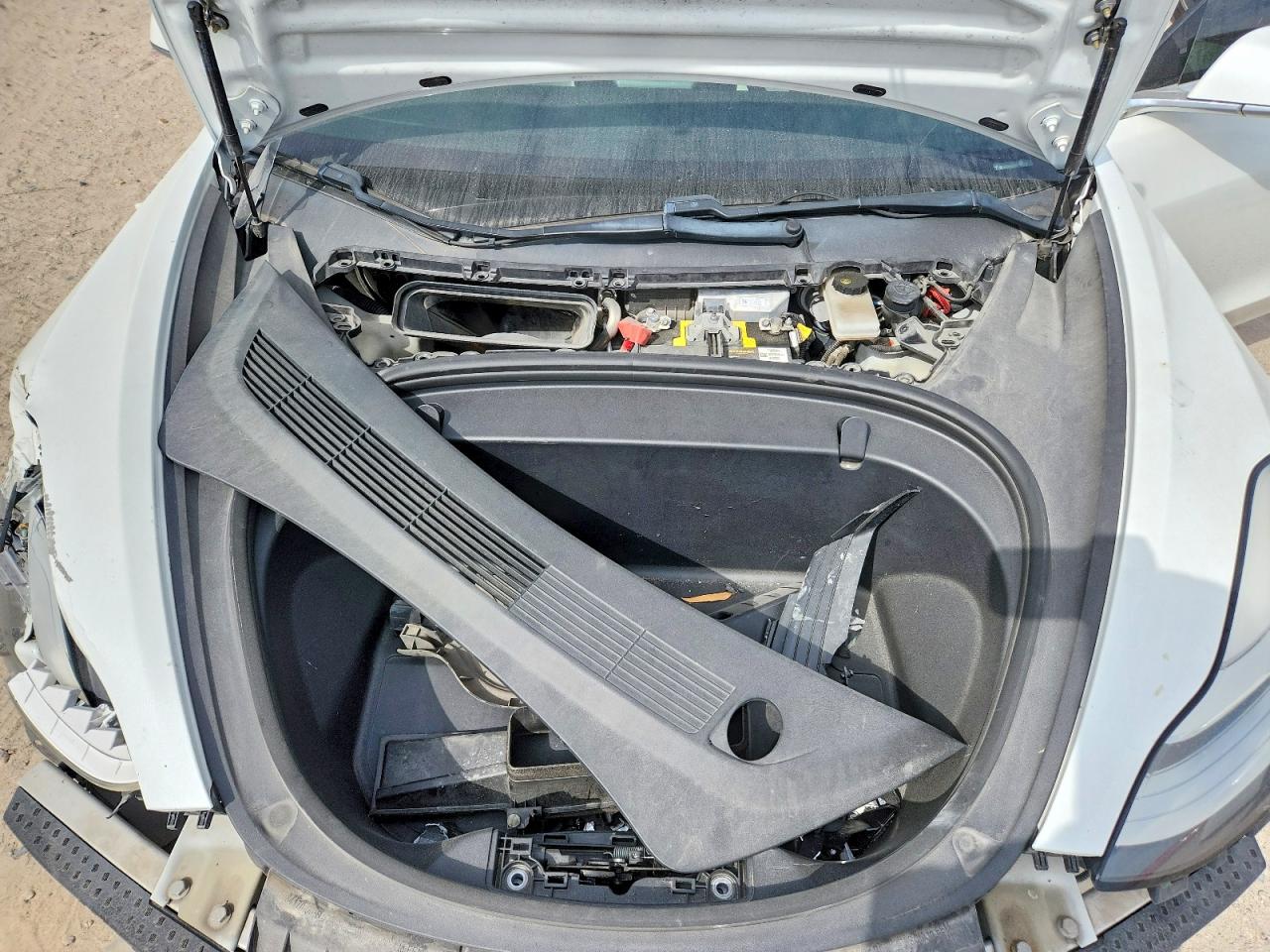 2019 TESLA MODEL 3 photo 11