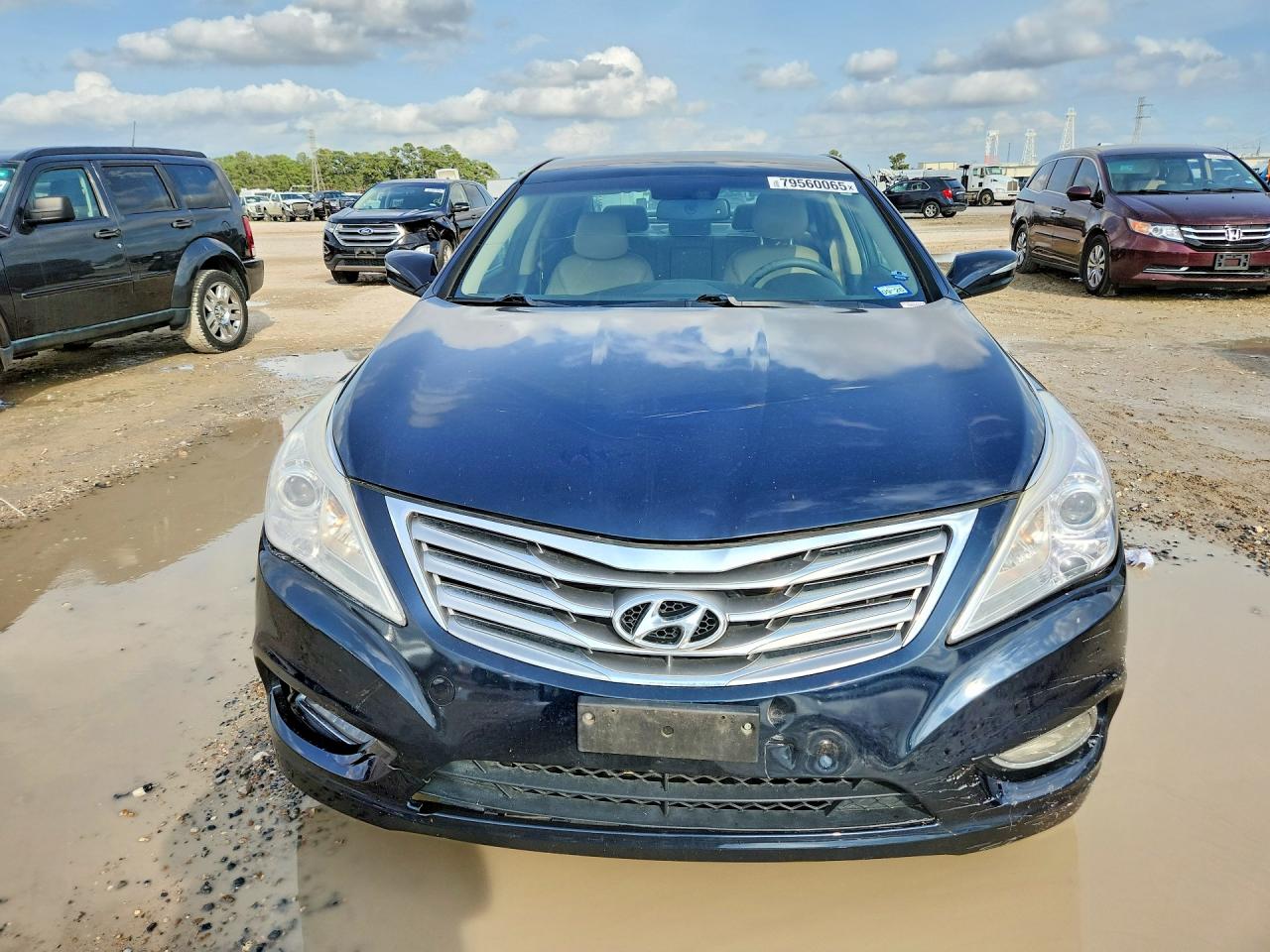 2013 HYUNDAI AZERA BASE photo 9