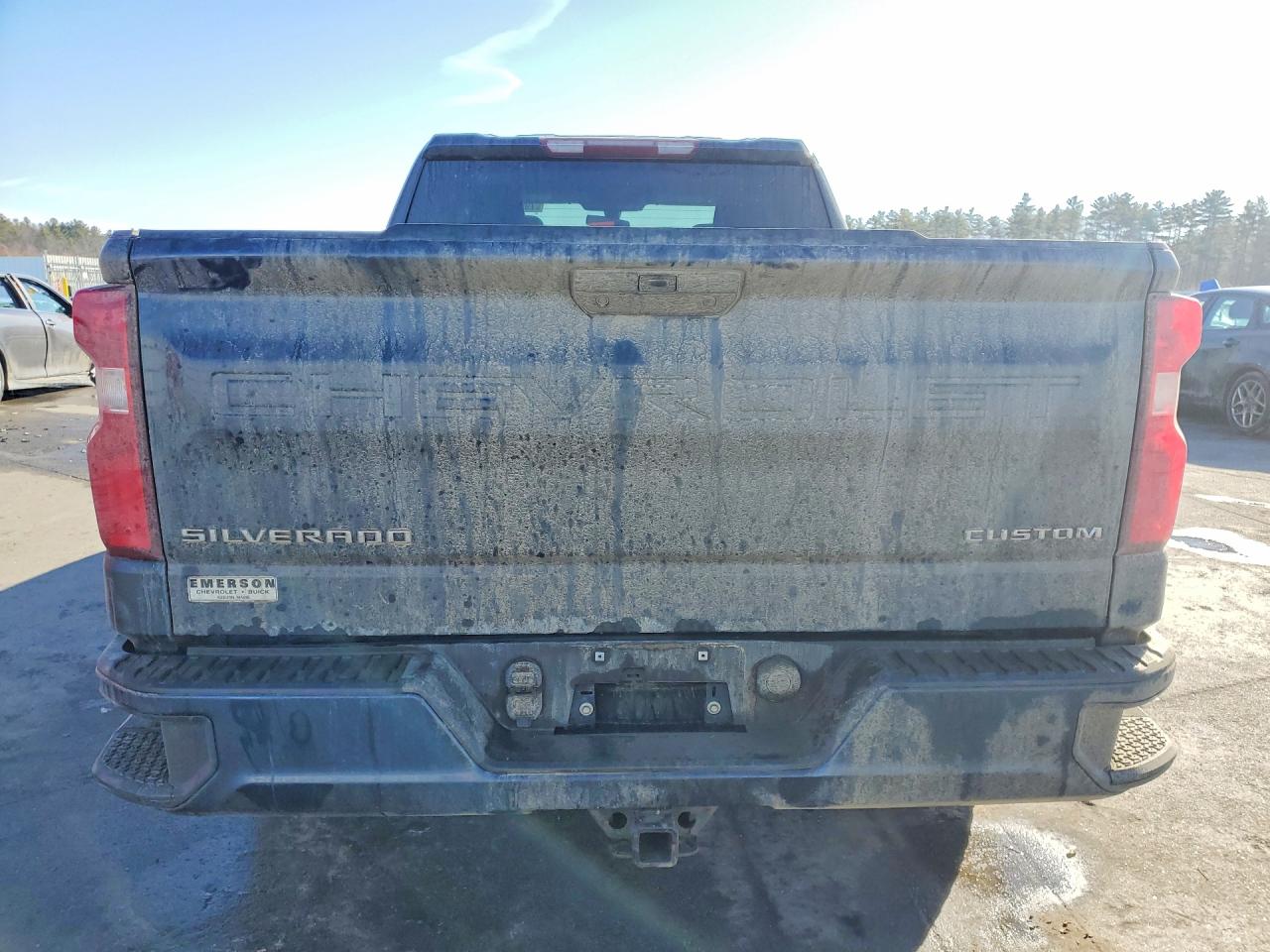 2021 CHEVROLET SILVERADO K1500 CUSTOM photo 11