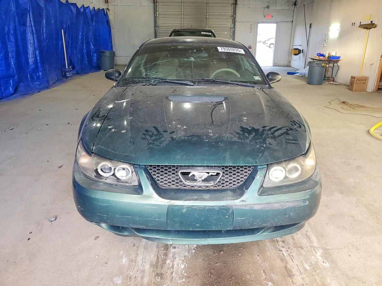 2001 FORD MUSTANG photo 13