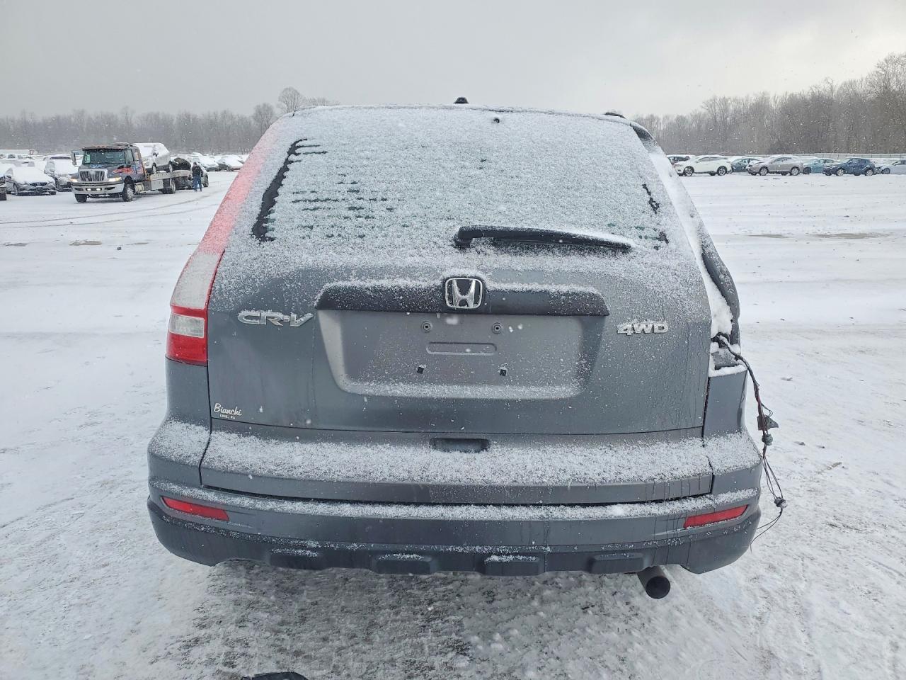 2010 HONDA CR-V LX photo 6