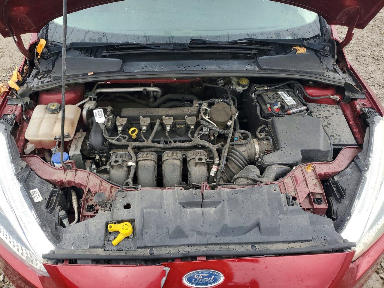 2015 FORD FOCUS SE photo 11