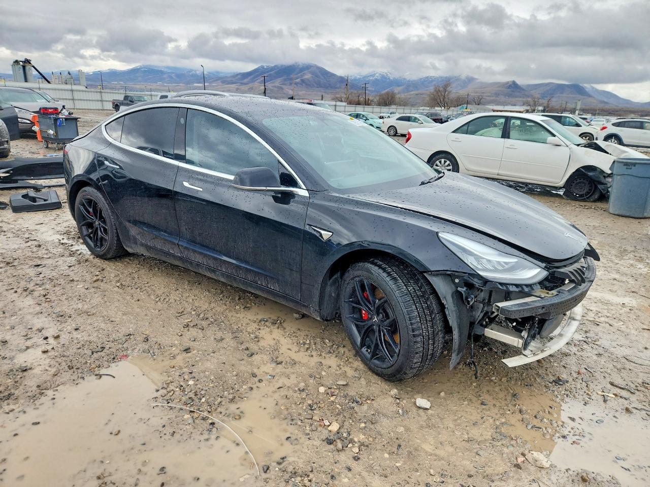 2020 TESLA MODEL 3 photo 7