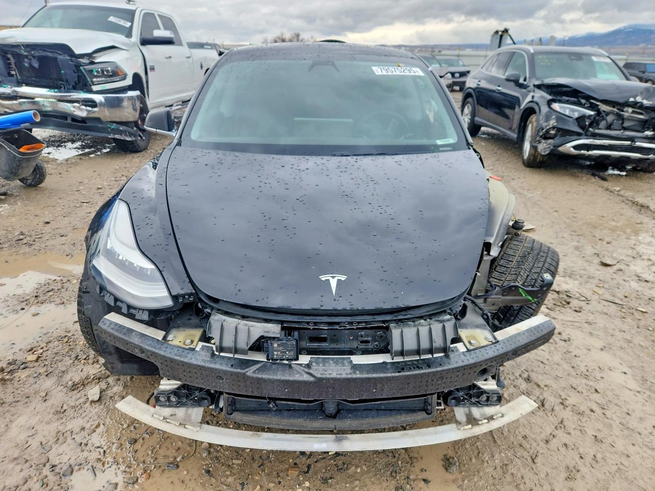 2020 TESLA MODEL 3 photo 9