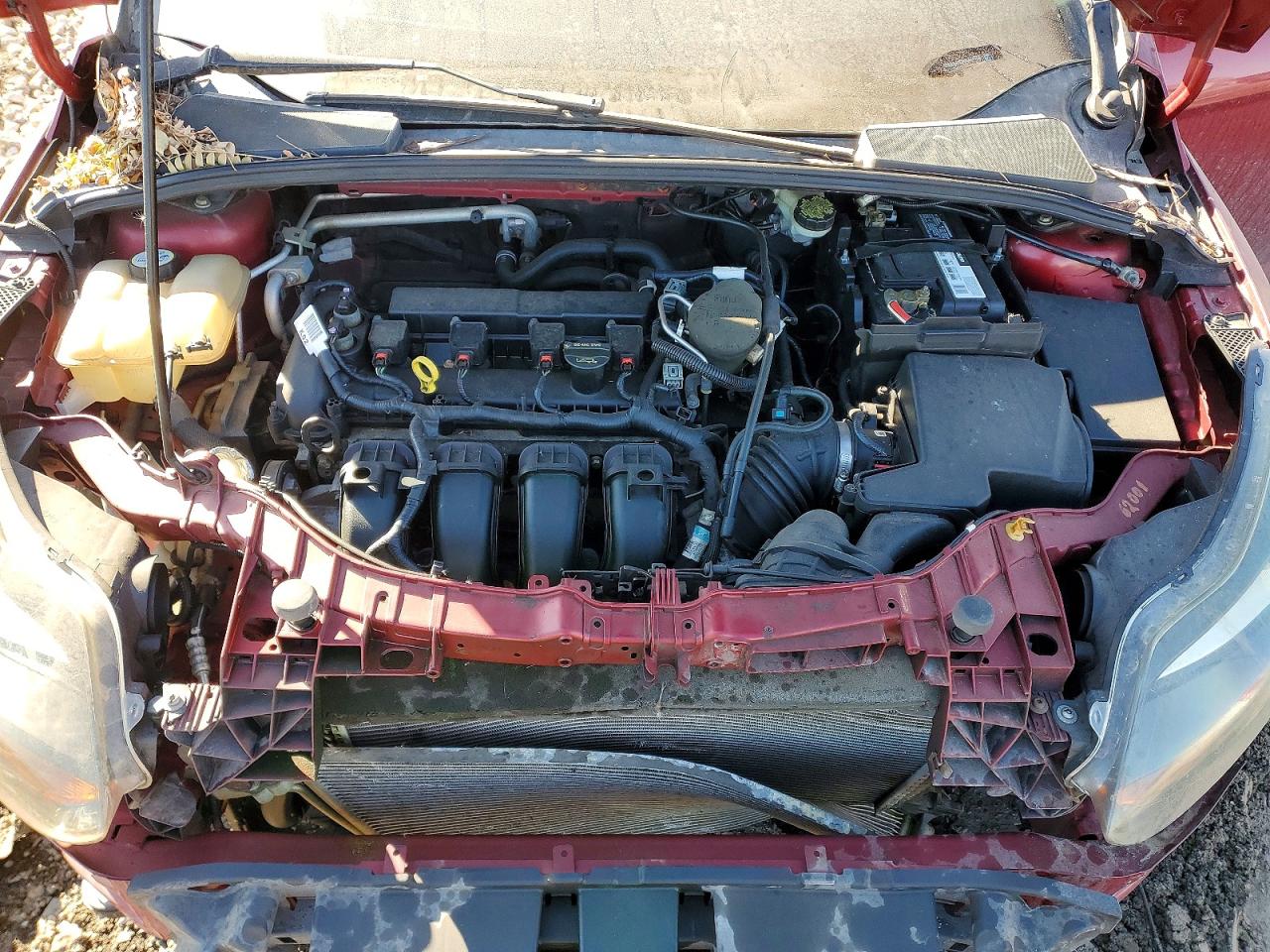 2013 FORD FOCUS SE photo 11