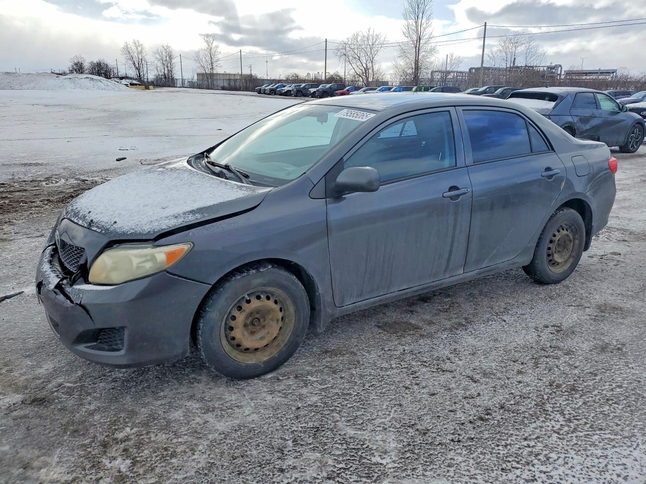 2010 TOYOTA COROLLA