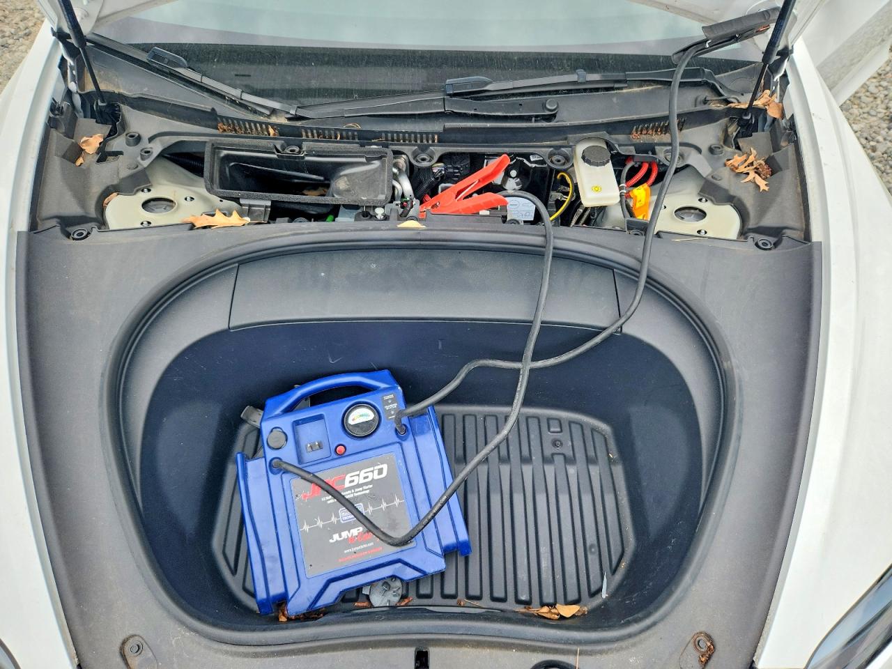 2024 TESLA MODEL 3 photo 11