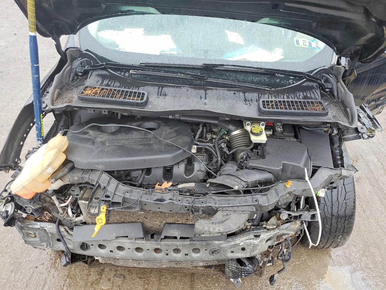 2014 FORD ESCAPE TITANIUM photo 34