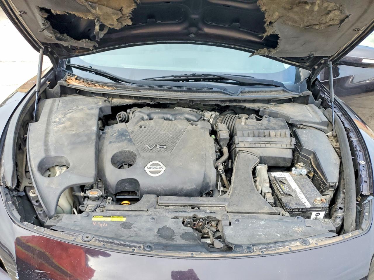 2010 NISSAN MAXIMA 3.5 S photo 21