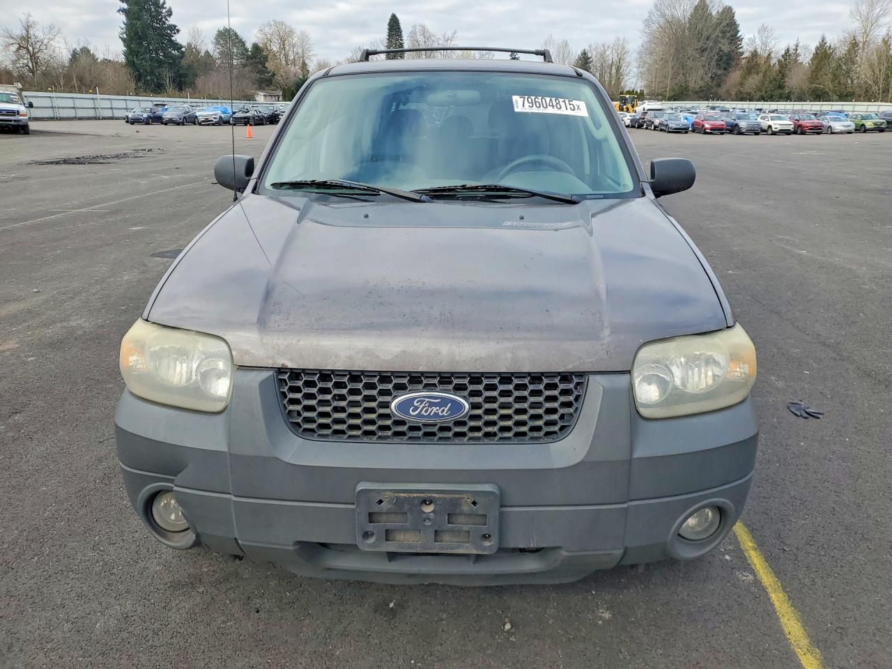 2005 FORD ESCAPE XLT photo 13