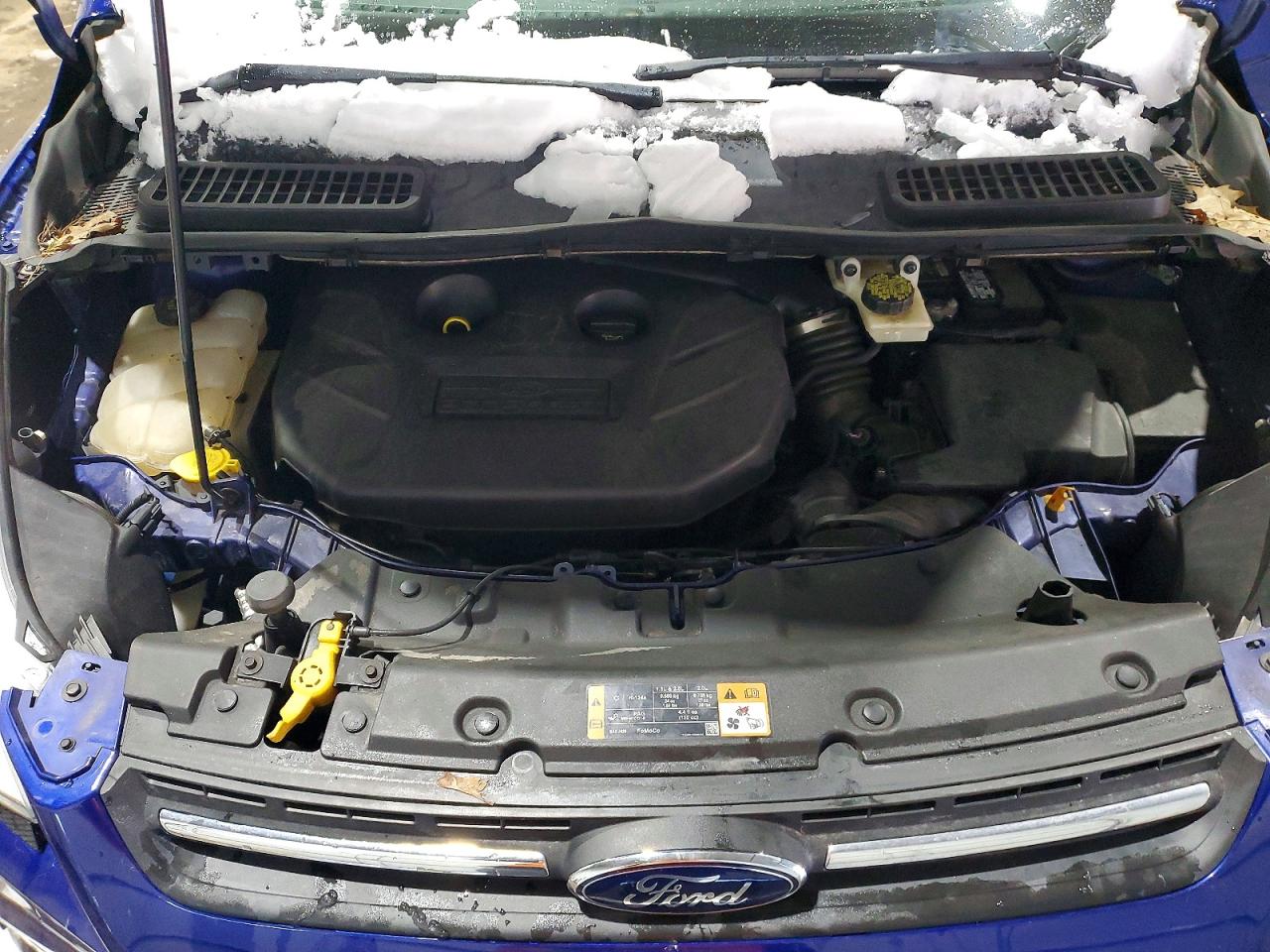 2014 FORD ESCAPE SE photo 23