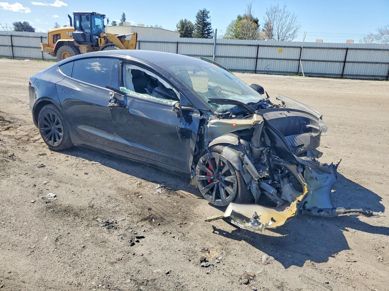 2021 TESLA MODEL 3 photo 10