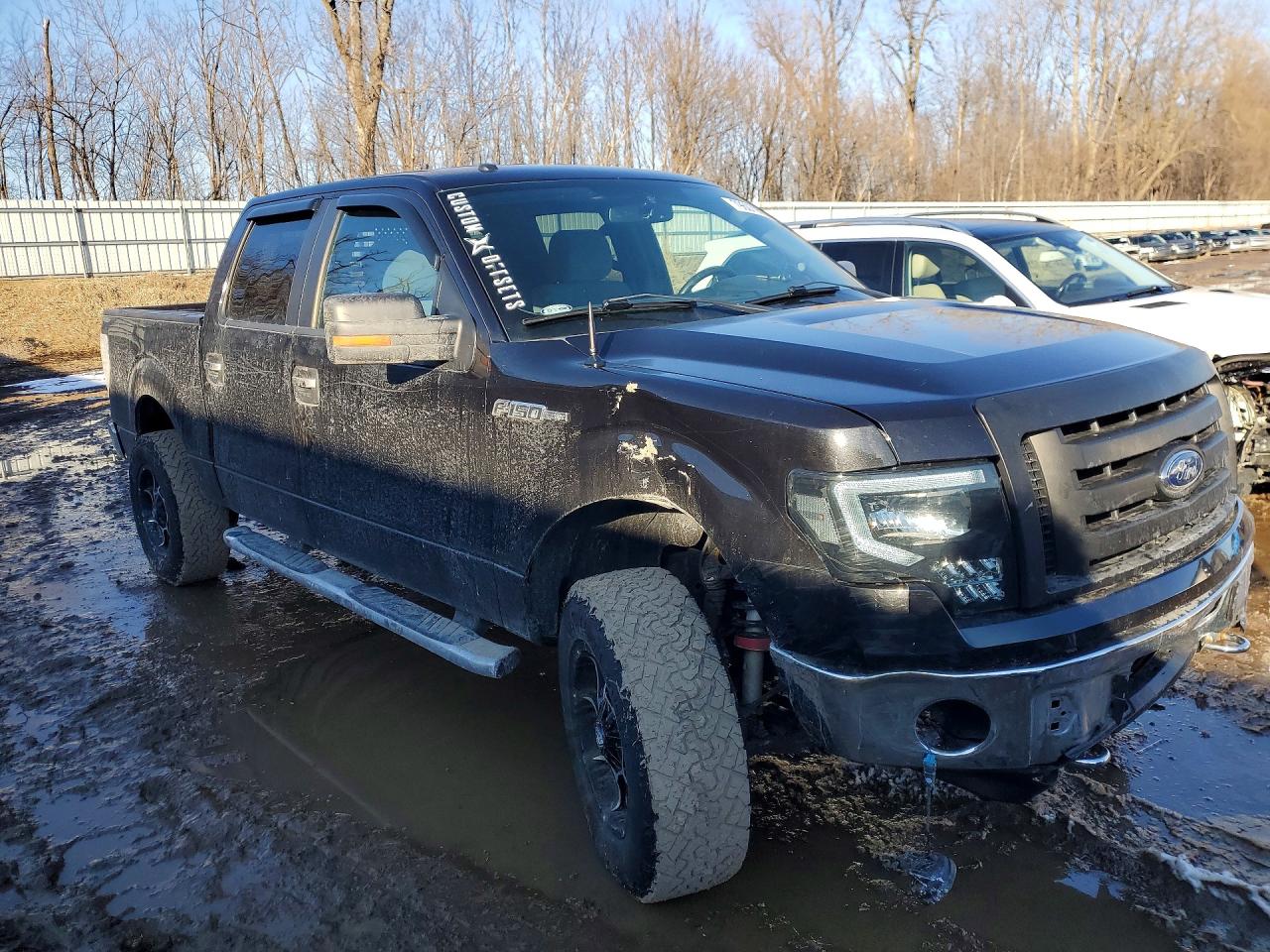 2014 FORD F150 SUPERCREW photo 4