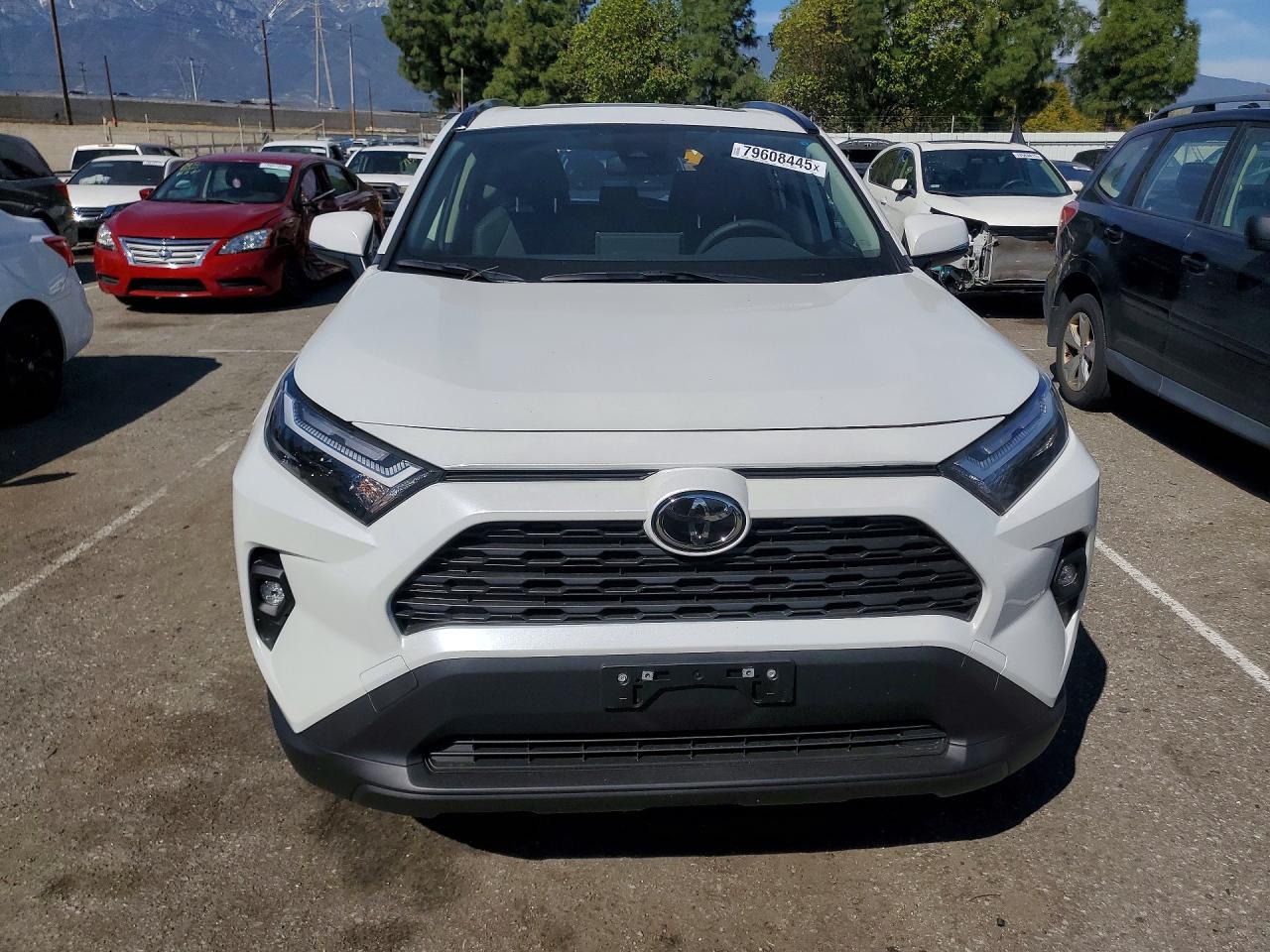 2025 TOYOTA RAV4 XLE PREMIUM photo 5