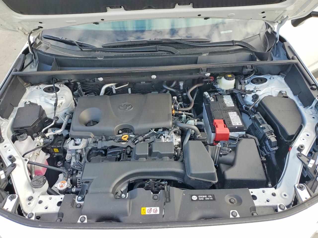 2025 TOYOTA RAV4 XLE photo 12
