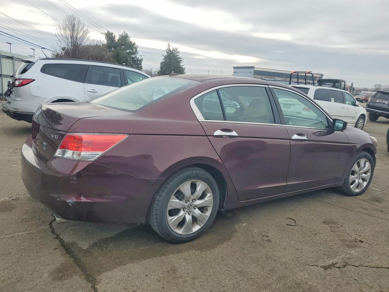 2010 HONDA ACCORD EXL photo 5