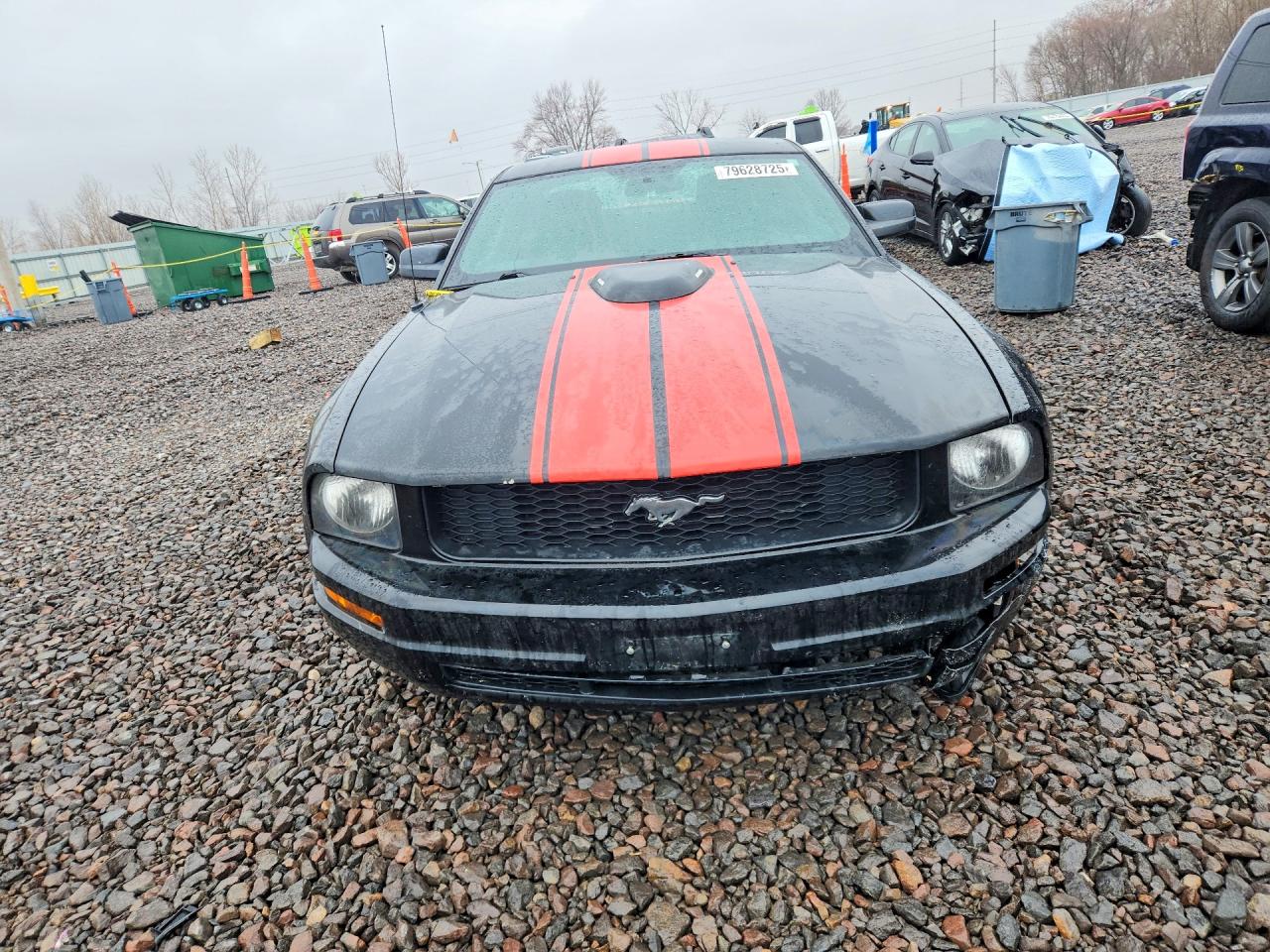 2007 FORD MUSTANG photo 13