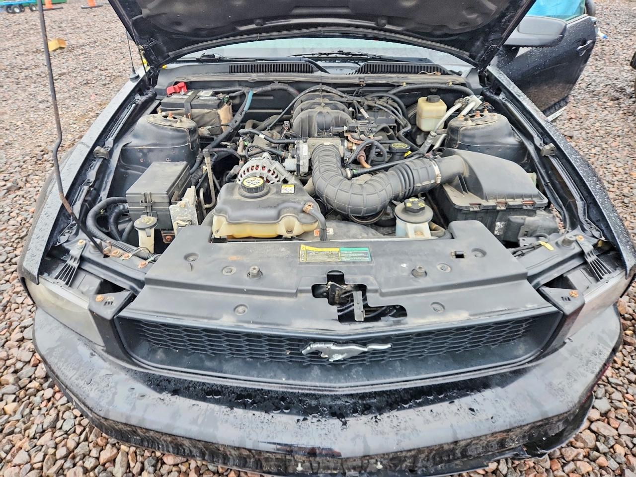 2007 FORD MUSTANG photo 31