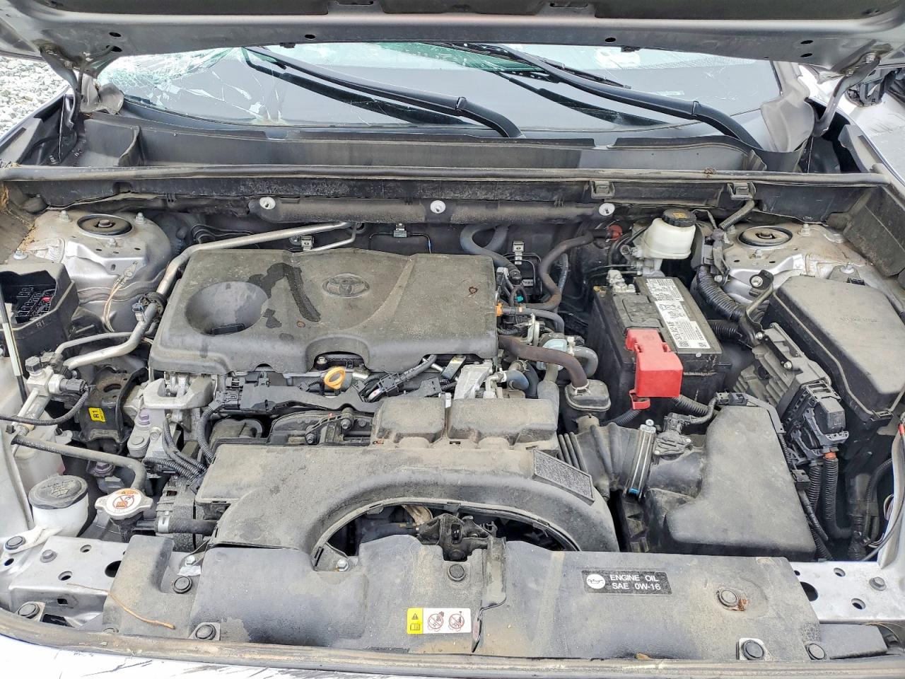2021 TOYOTA RAV4 LE photo 12