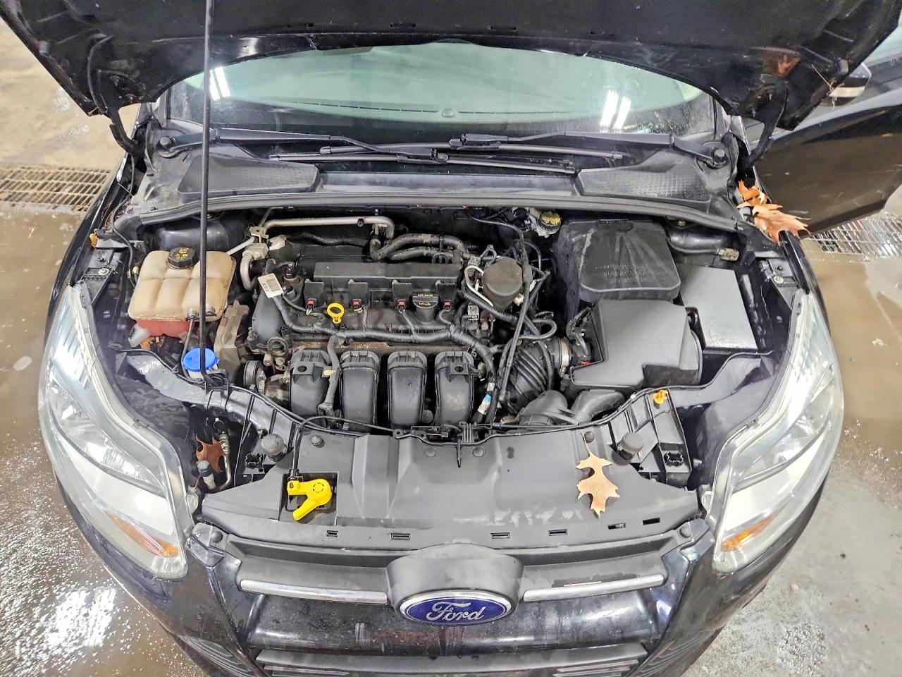 2014 FORD FOCUS SE photo 12