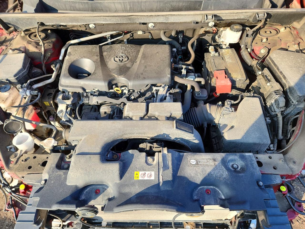 2019 TOYOTA RAV4 XLE photo 12
