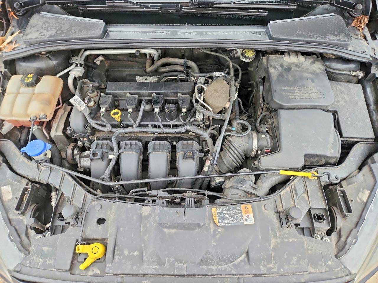 2015 FORD FOCUS SE photo 11