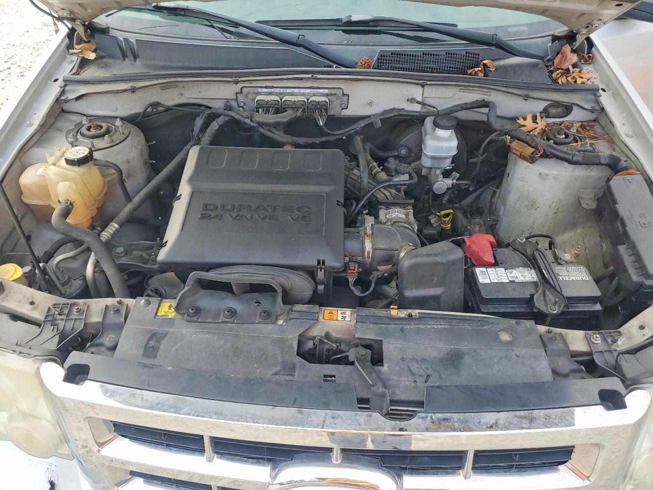 2010 FORD ESCAPE XLT photo 11