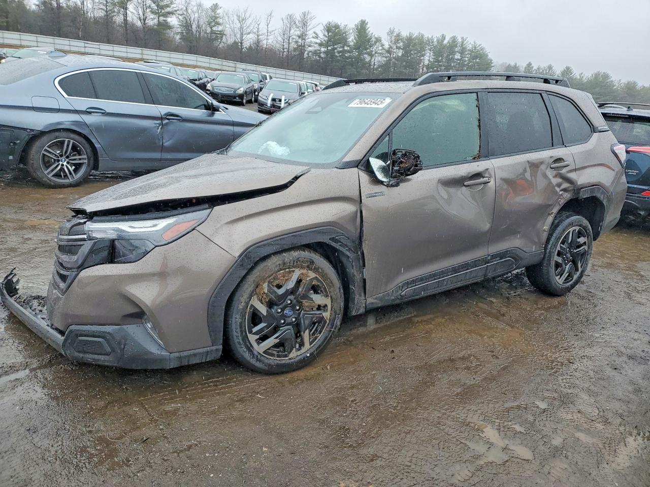 2025 SUBARU FORESTER