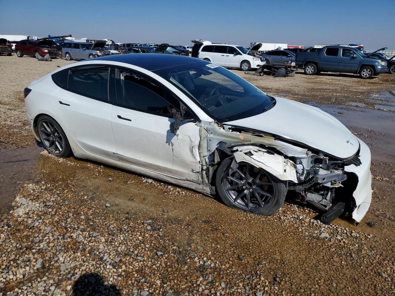 2021 TESLA MODEL 3 photo 7