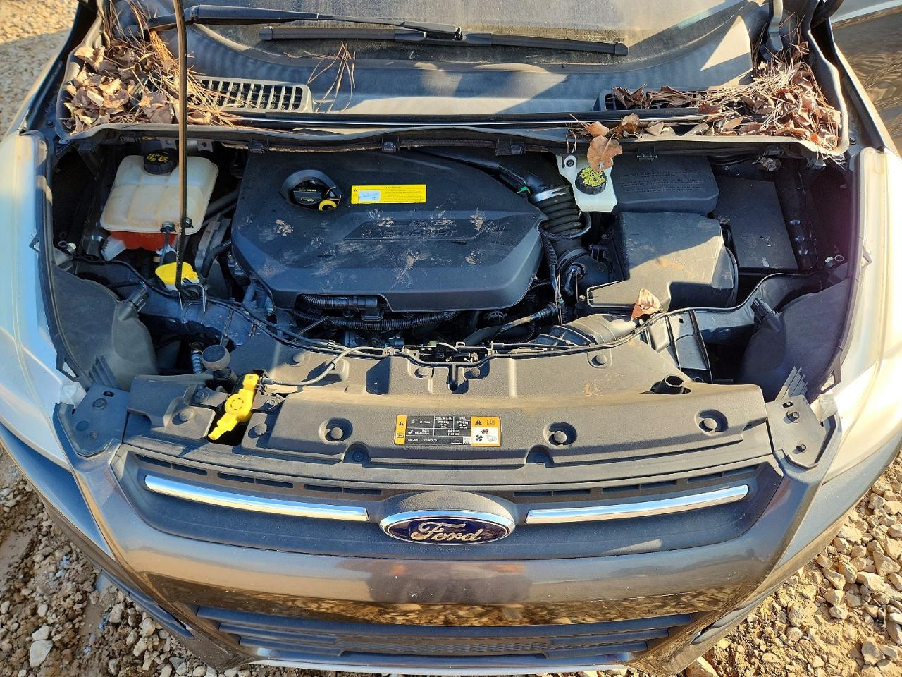 2015 FORD ESCAPE SE photo 12