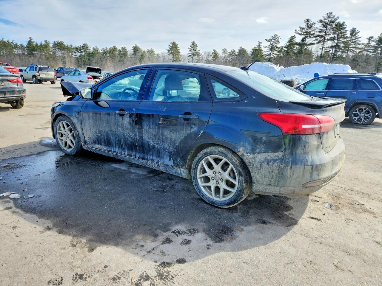 2015 FORD FOCUS SE photo 2
