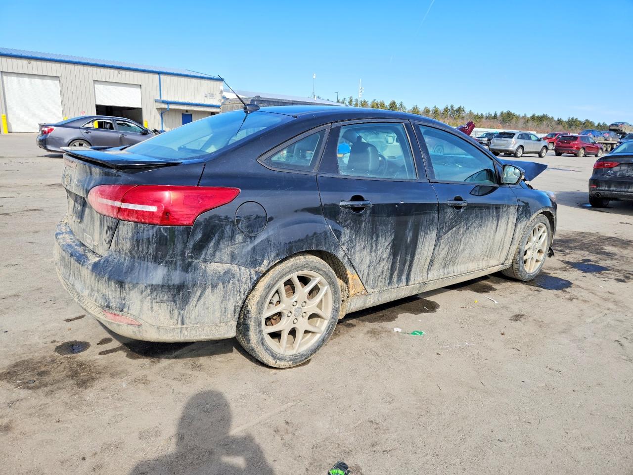 2015 FORD FOCUS SE photo 3