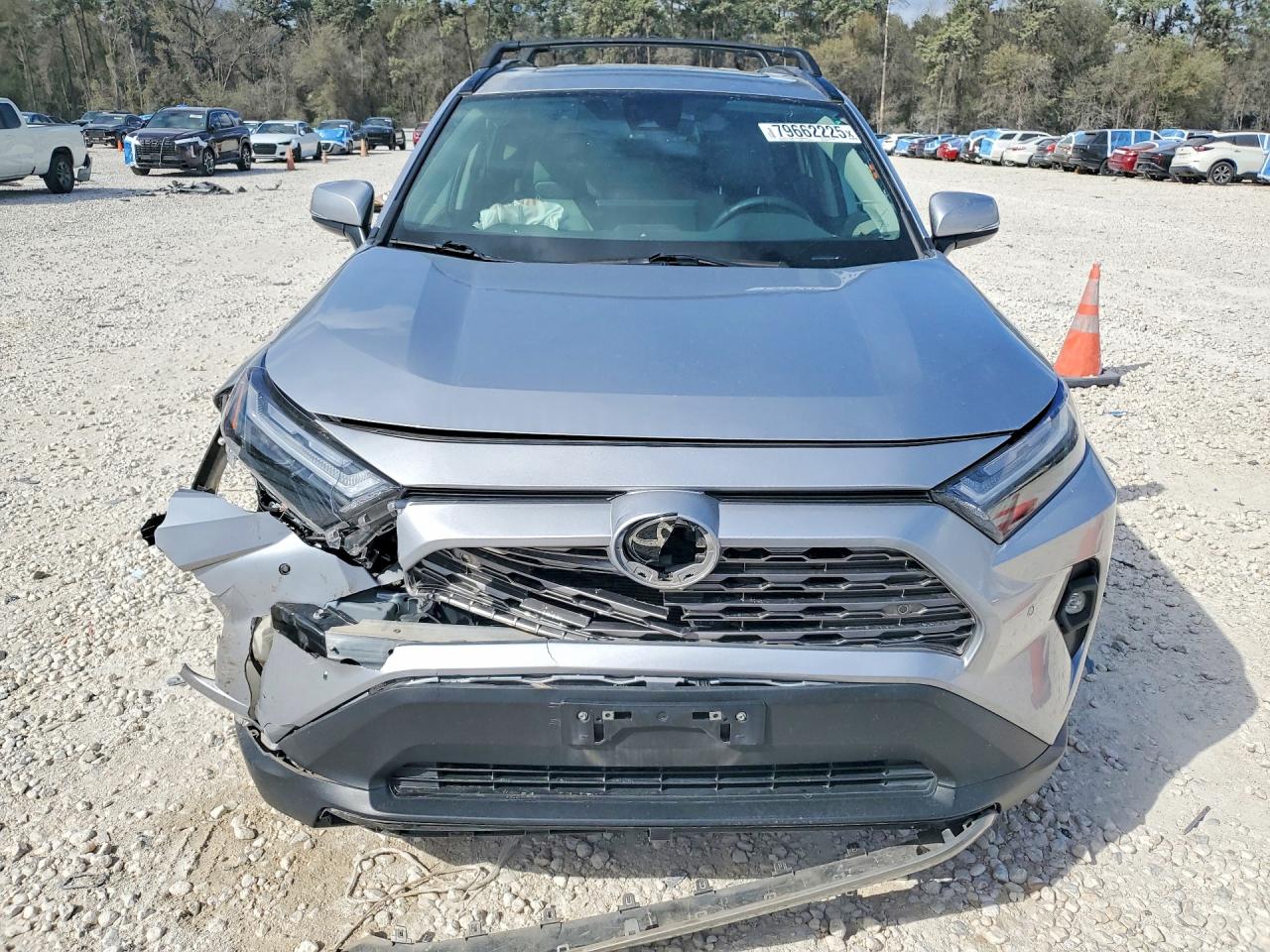 2024 TOYOTA RAV4 LIMITED photo 9