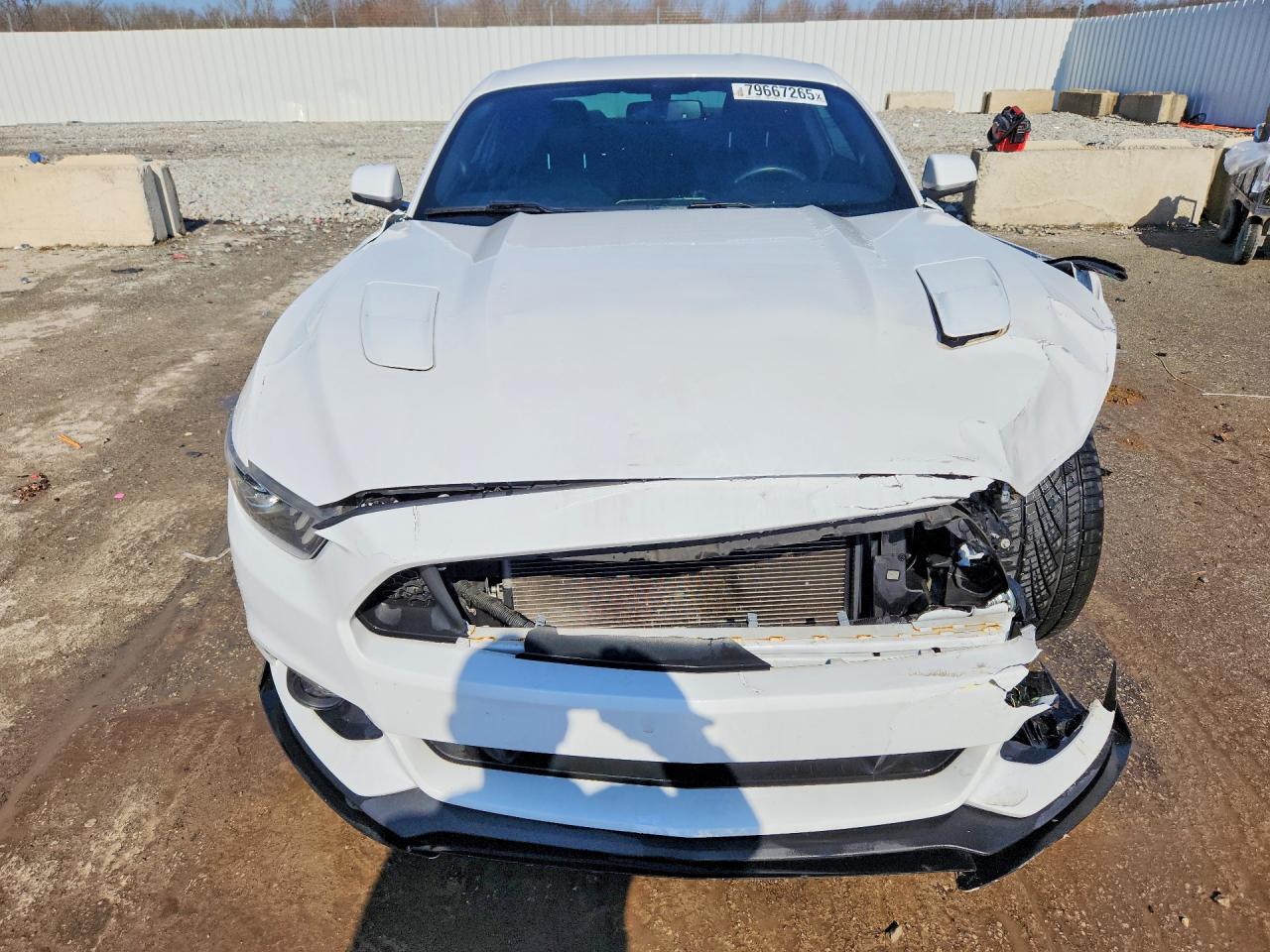 2016 FORD MUSTANG GT photo 13