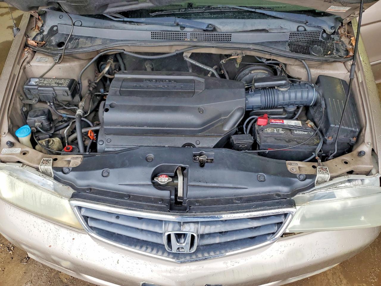 2004 HONDA ODYSSEY EX photo 12