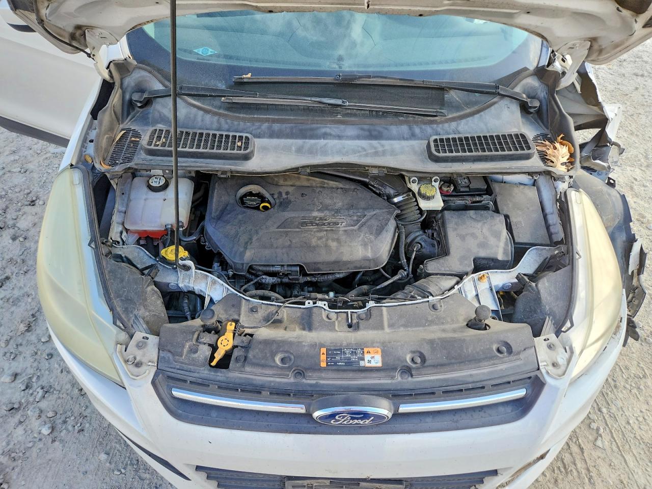 2014 FORD ESCAPE SE photo 34