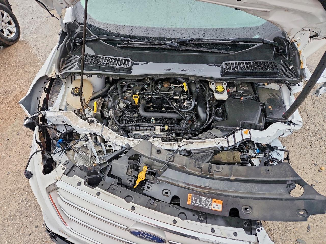 2019 FORD ESCAPE SE photo 23