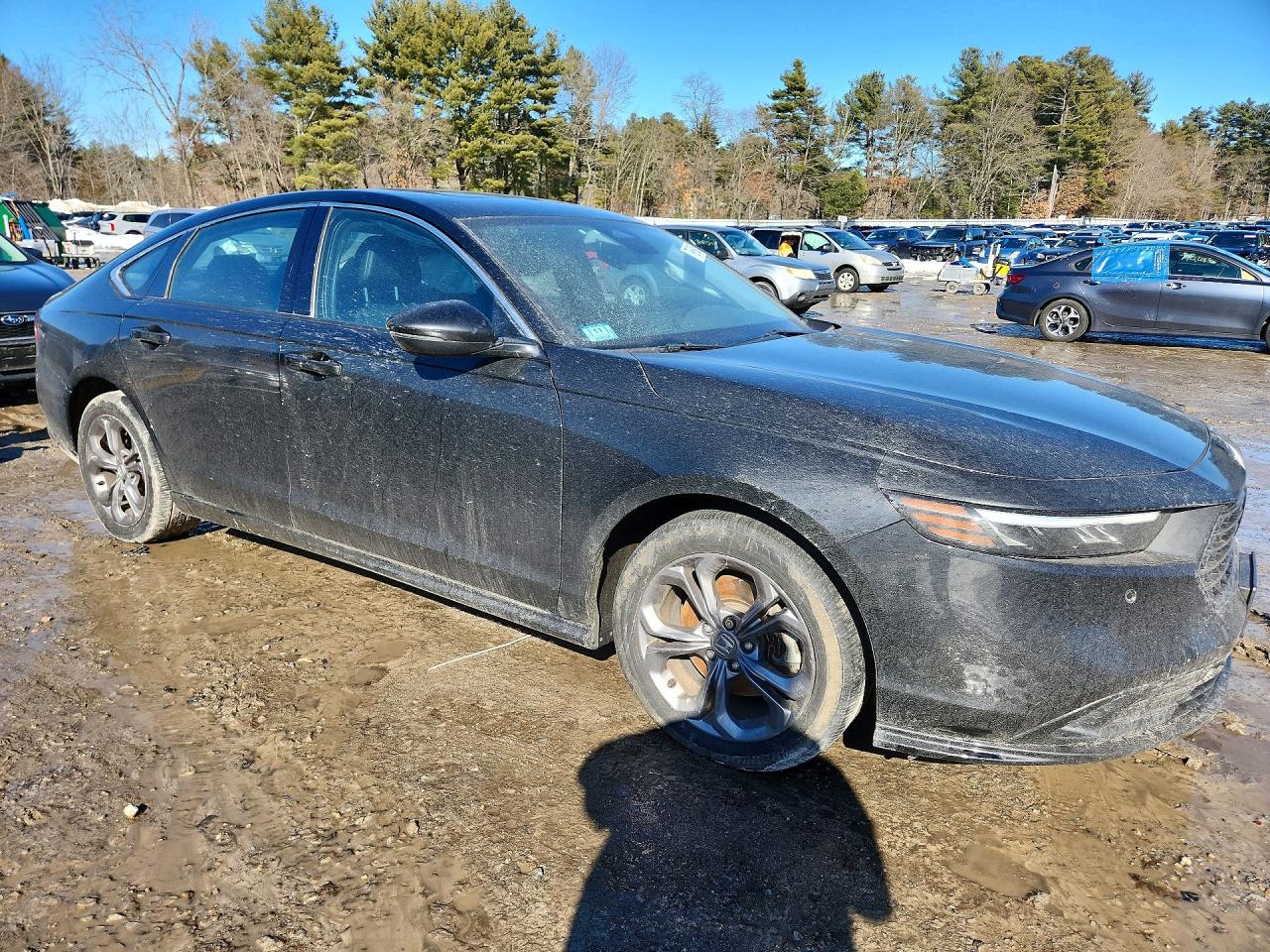 2024 HONDA ACCORD HYBRID EXL photo 4