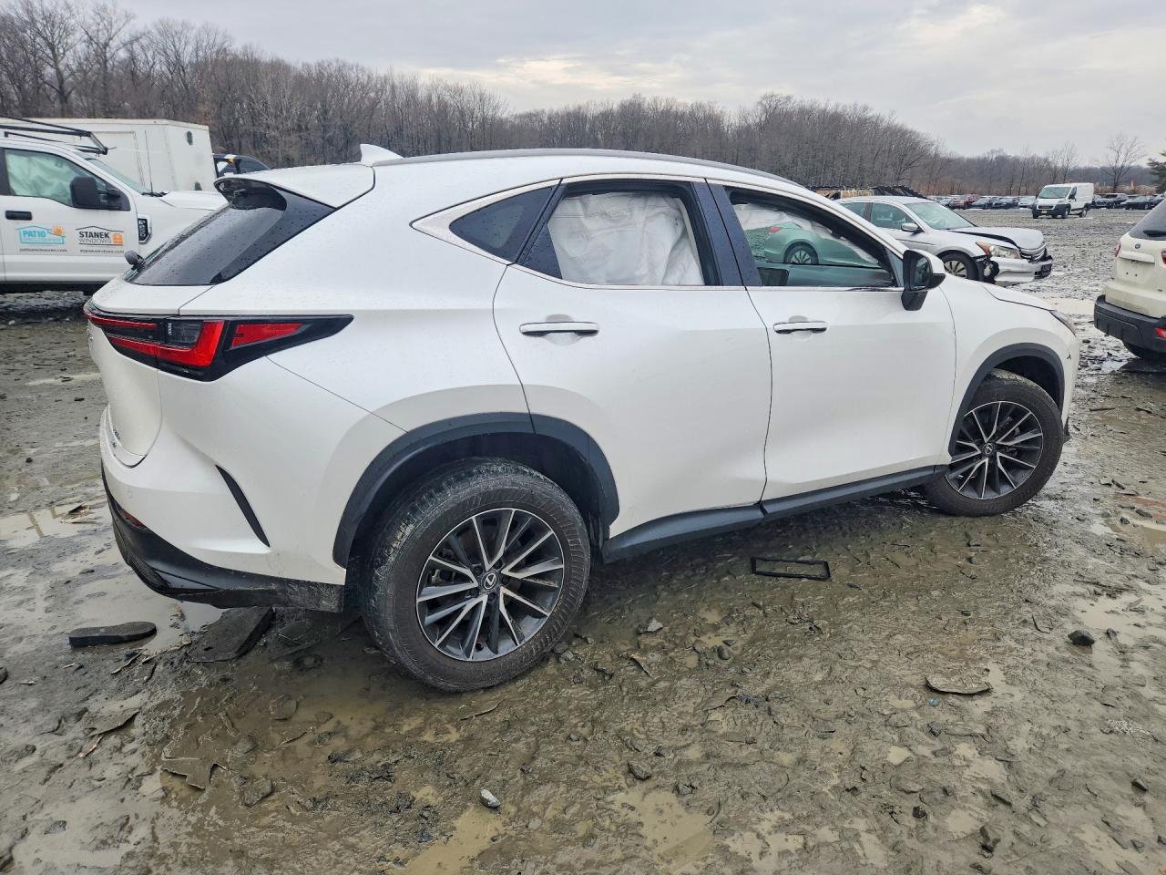 2025 LEXUS NX 250 PREMIUM photo 7