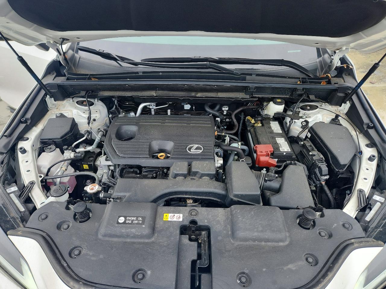2025 LEXUS NX 250 PREMIUM photo 34
