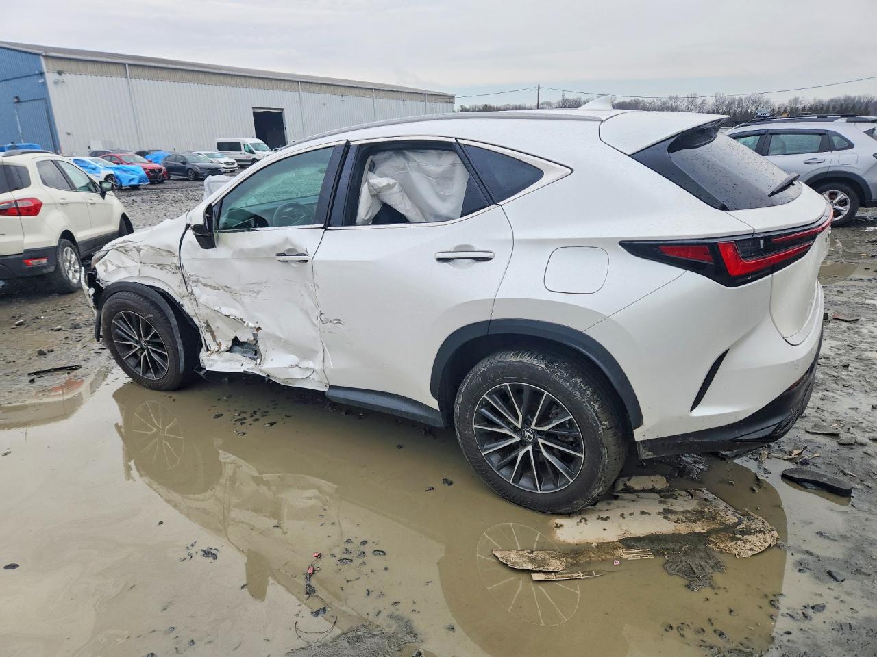 2025 LEXUS NX 250 PREMIUM photo 4
