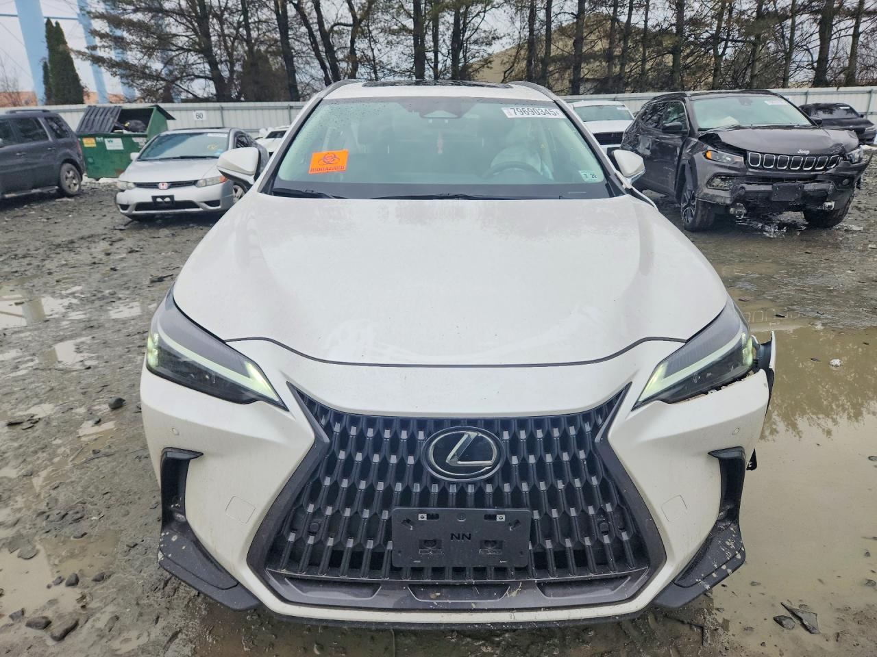 2025 LEXUS NX 250 PREMIUM photo 13