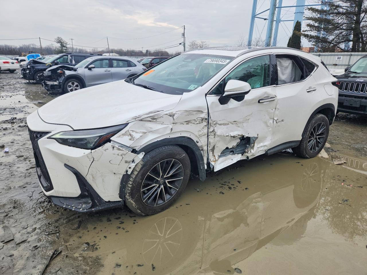 2025 LEXUS NX