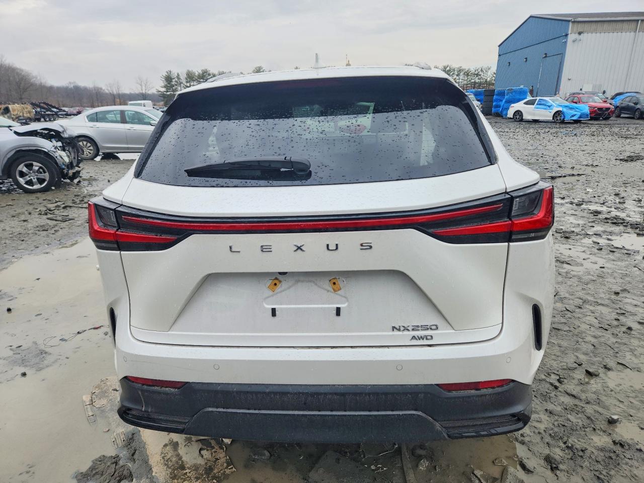 2025 LEXUS NX 250 PREMIUM photo 16