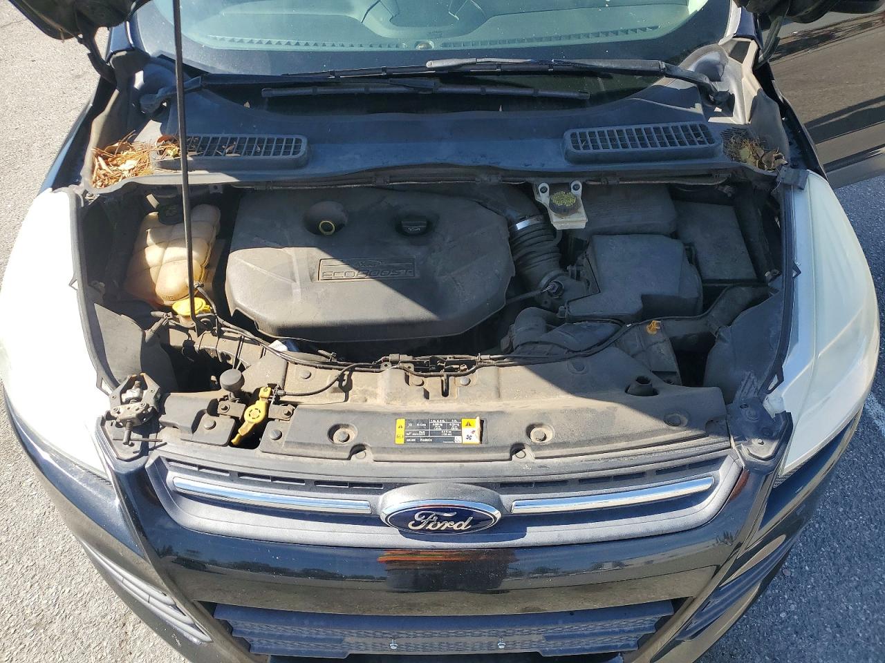 2014 FORD ESCAPE SE photo 11
