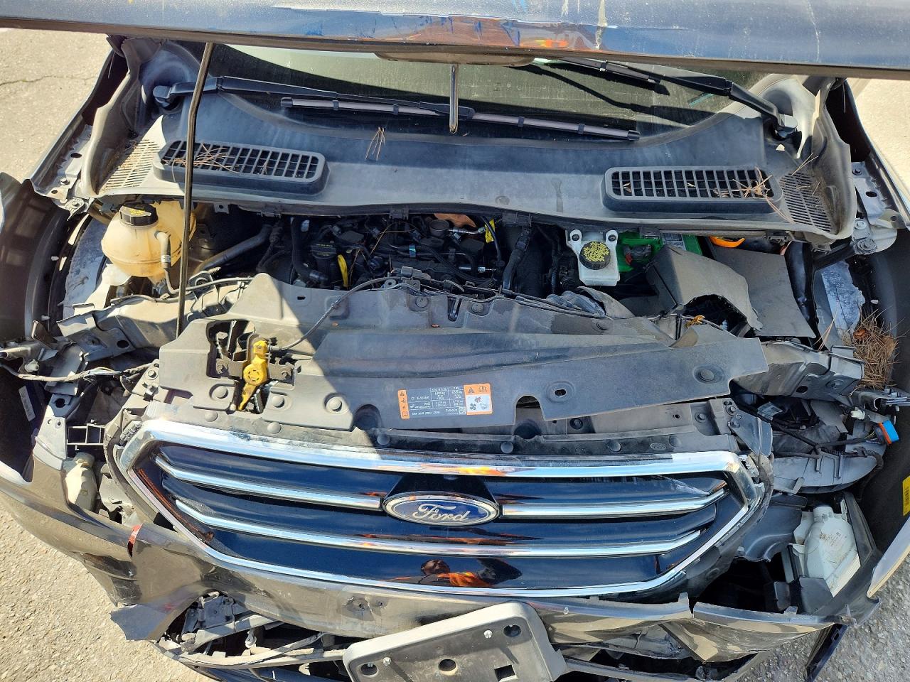 2019 FORD ESCAPE SE photo 23