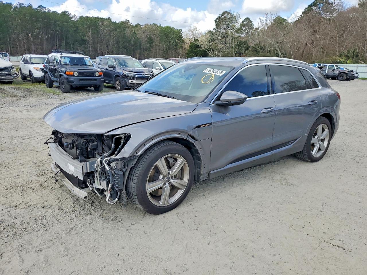 2019 AUDI E-TRON