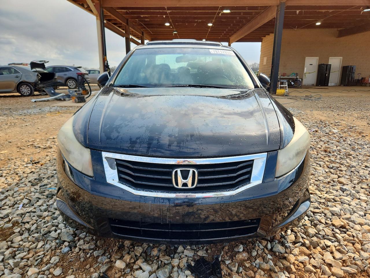 2009 HONDA ACCORD EXL photo 5