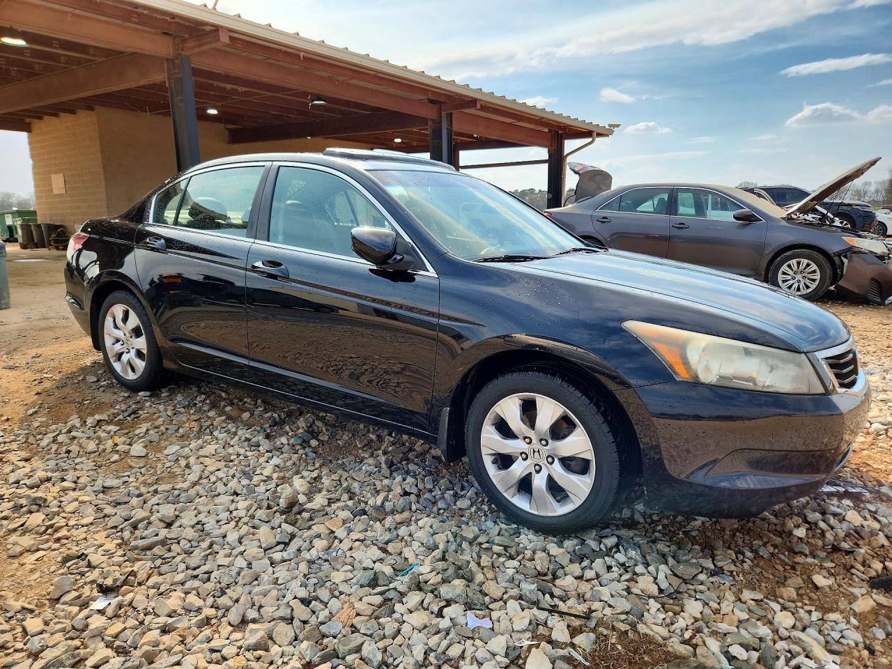 2009 HONDA ACCORD EXL photo 4